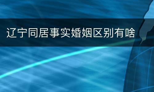 辽宁同居事实婚姻区别有啥