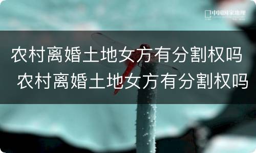 农村离婚土地女方有分割权吗 农村离婚土地女方有分割权吗怎么分