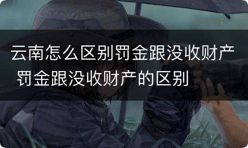 云南怎么区别罚金跟没收财产 罚金跟没收财产的区别