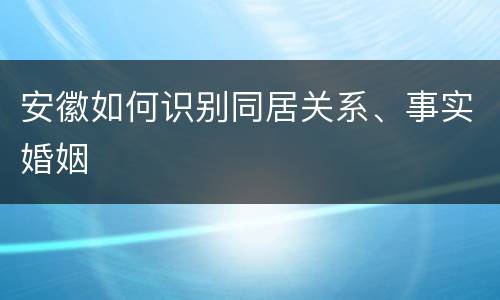 安徽如何识别同居关系、事实婚姻