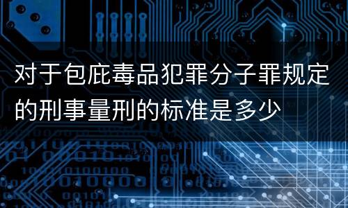 对于包庇毒品犯罪分子罪规定的刑事量刑的标准是多少