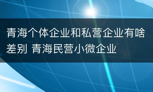 青海个体企业和私营企业有啥差别 青海民营小微企业