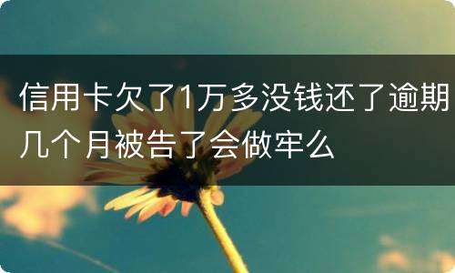 信用卡欠了1万多没钱还了逾期几个月被告了会做牢么