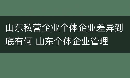 山东私营企业个体企业差异到底有何 山东个体企业管理