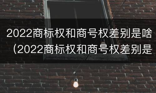 2022商标权和商号权差别是啥（2022商标权和商号权差别是啥呢）