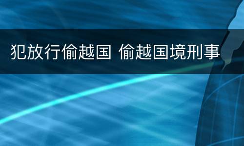 犯放行偷越国 偷越国境刑事