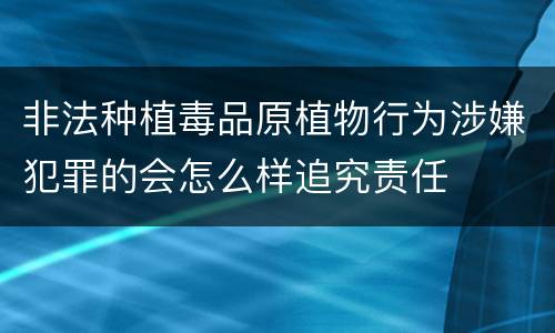 非法种植毒品原植物行为涉嫌犯罪的会怎么样追究责任