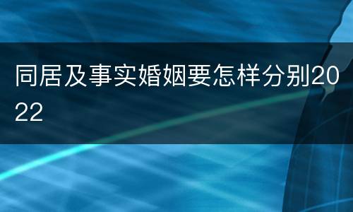 同居及事实婚姻要怎样分别2022