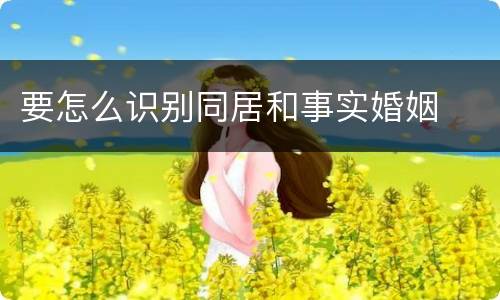 要怎么识别同居和事实婚姻