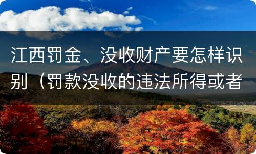 江西罚金、没收财产要怎样识别（罚款没收的违法所得或者没收非法财物属于行政处罚吗）