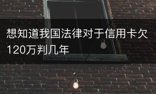 想知道我国法律对于信用卡欠120万判几年