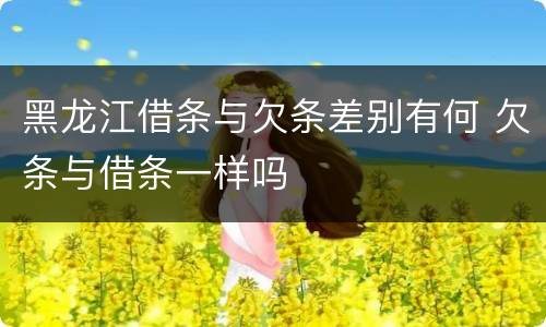 黑龙江借条与欠条差别有何 欠条与借条一样吗