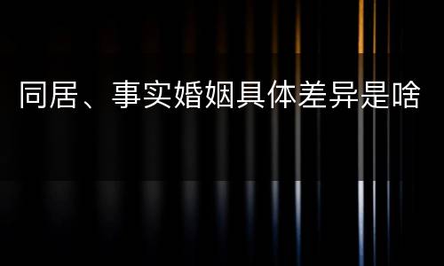 同居、事实婚姻具体差异是啥