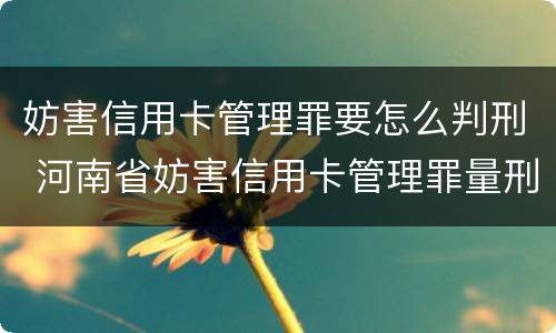 妨害信用卡管理罪要怎么判刑 河南省妨害信用卡管理罪量刑标准