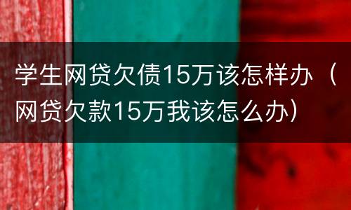 学生网贷欠债15万该怎样办（网贷欠款15万我该怎么办）