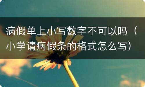 病假单上小写数字不可以吗（小学请病假条的格式怎么写）