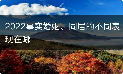 2022事实婚姻、同居的不同表现在哪