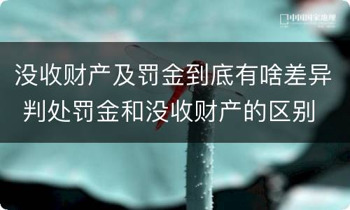 没收财产及罚金到底有啥差异 判处罚金和没收财产的区别