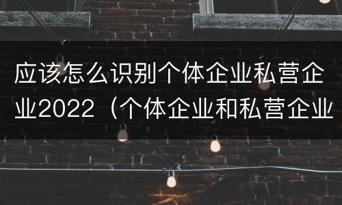 应该怎么识别个体企业私营企业2022（个体企业和私营企业）