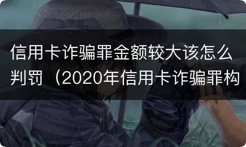 信用卡诈骗罪金额较大该怎么判罚（2020年信用卡诈骗罪构成要件）