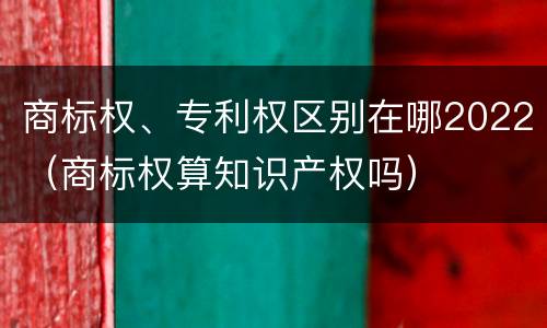 商标权、专利权区别在哪2022（商标权算知识产权吗）