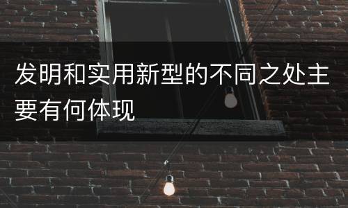 发明和实用新型的不同之处主要有何体现