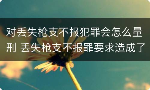 对丢失枪支不报犯罪会怎么量刑 丢失枪支不报罪要求造成了严重后果的才构成犯罪