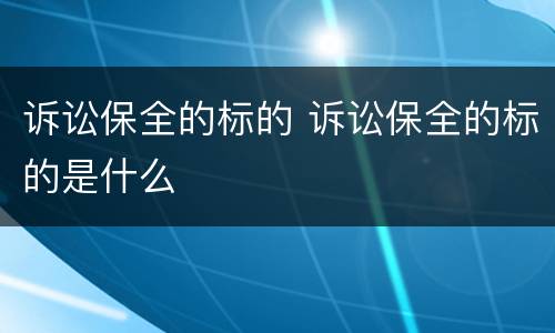 诉讼保全的标的 诉讼保全的标的是什么