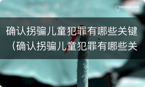 确认拐骗儿童犯罪有哪些关键（确认拐骗儿童犯罪有哪些关键要件）