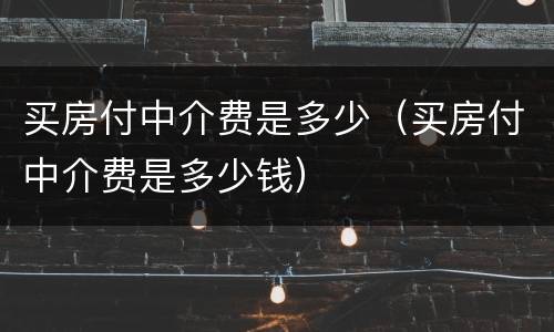 买房付中介费是多少（买房付中介费是多少钱）