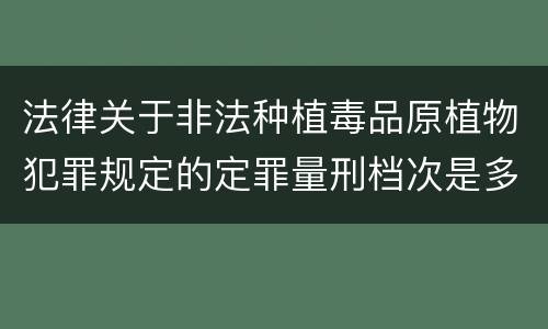 法律关于非法种植毒品原植物犯罪规定的定罪量刑档次是多少