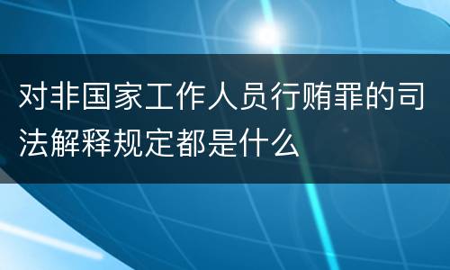 对非国家工作人员行贿罪的司法解释规定都是什么