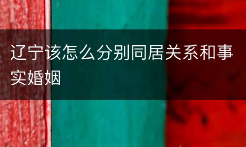 辽宁该怎么分别同居关系和事实婚姻