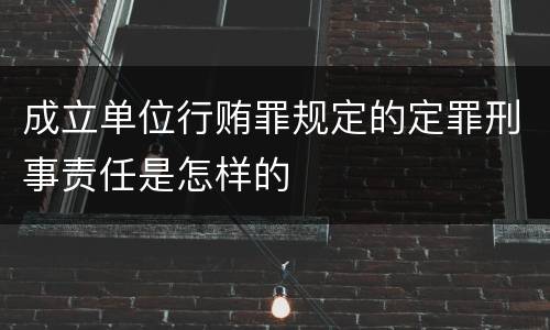 成立单位行贿罪规定的定罪刑事责任是怎样的