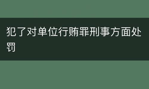 犯了对单位行贿罪刑事方面处罚