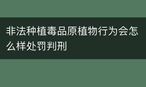 非法种植毒品原植物行为会怎么样处罚判刑