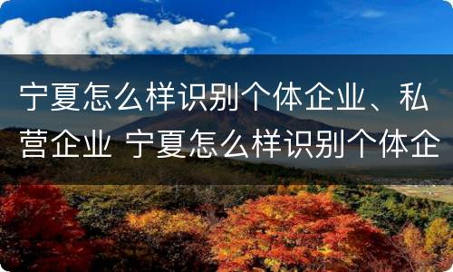 宁夏怎么样识别个体企业、私营企业 宁夏怎么样识别个体企业,私营企业名录