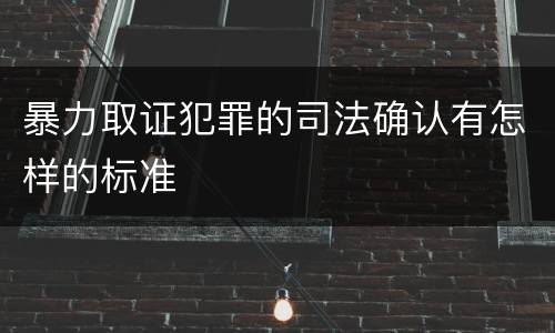 暴力取证犯罪的司法确认有怎样的标准