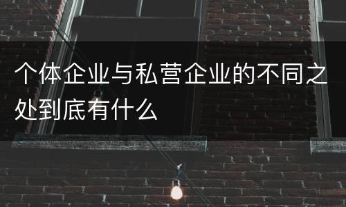 个体企业与私营企业的不同之处到底有什么