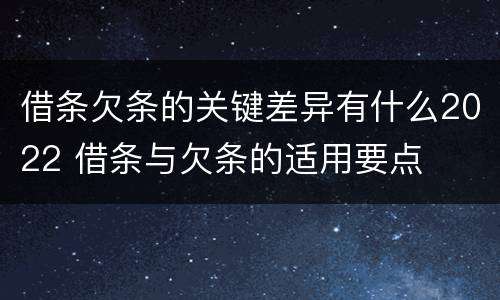 借条欠条的关键差异有什么2022 借条与欠条的适用要点