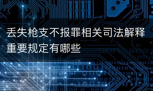 丢失枪支不报罪相关司法解释重要规定有哪些