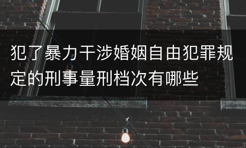 犯了暴力干涉婚姻自由犯罪规定的刑事量刑档次有哪些