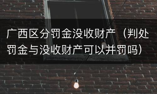 广西区分罚金没收财产（判处罚金与没收财产可以并罚吗）