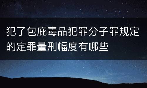 犯了包庇毒品犯罪分子罪规定的定罪量刑幅度有哪些