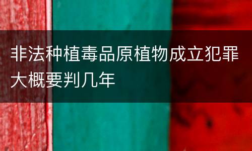 非法种植毒品原植物成立犯罪大概要判几年