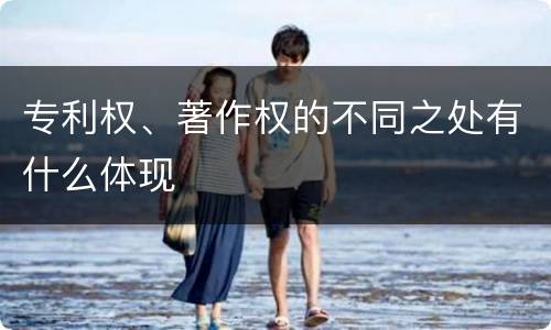 专利权、著作权的不同之处有什么体现