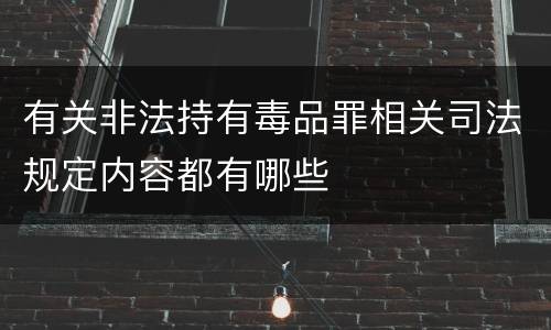 有关非法持有毒品罪相关司法规定内容都有哪些