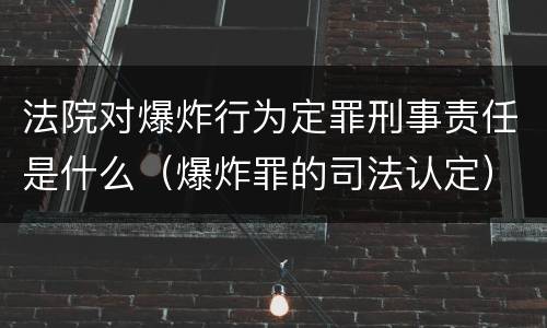 法院对爆炸行为定罪刑事责任是什么（爆炸罪的司法认定）