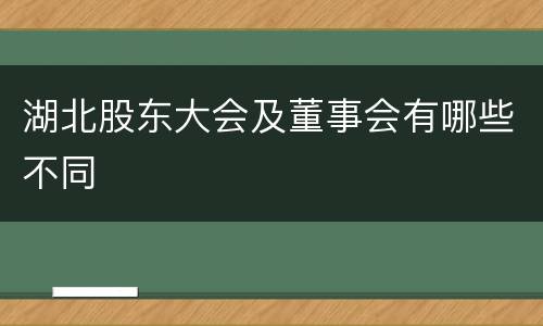 湖北股东大会及董事会有哪些不同