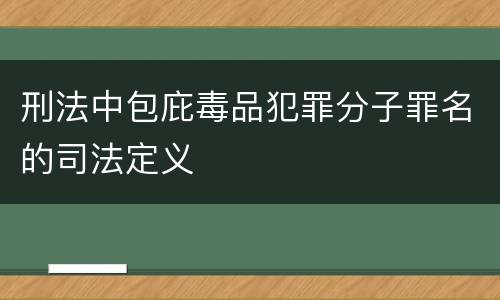 刑法中包庇毒品犯罪分子罪名的司法定义